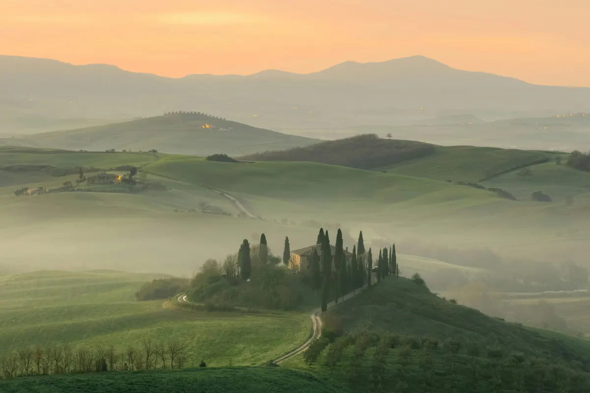 Wine Tours for Connoisseurs: The most beautiful Destinations for discerning Wine Lovers